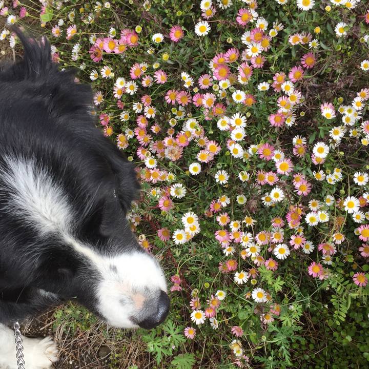 94145e11 a6ef 42e5 8b13 9a630dc548d0 1556324161740