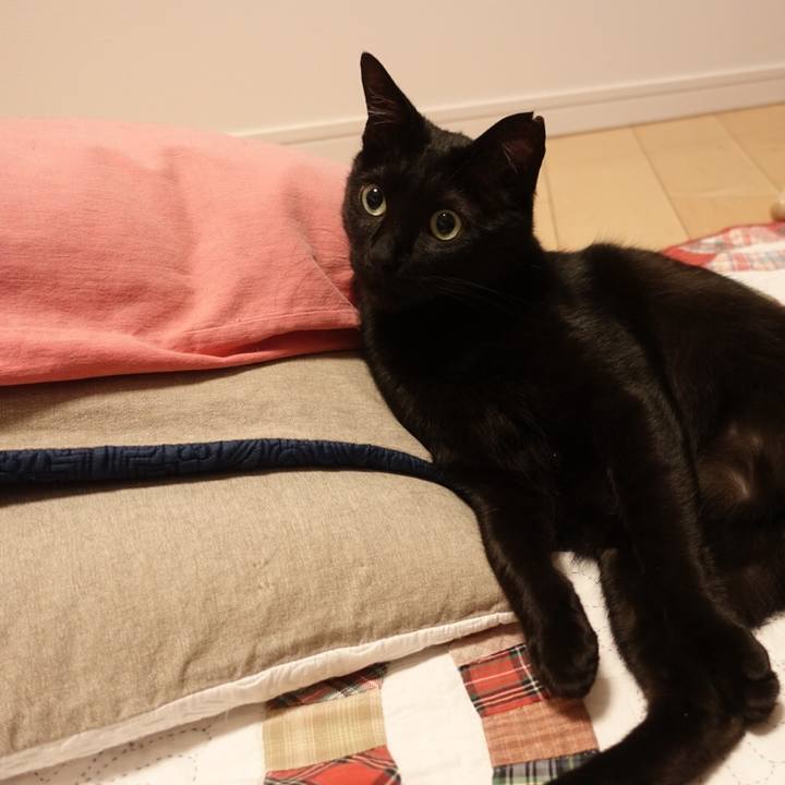 94147155 122e 4e9d a03c 8226a26b4dcb 1525399552552