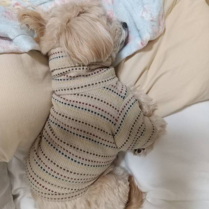 94147189 99bc 4f6d 84de 89257b27721f 1584704977901