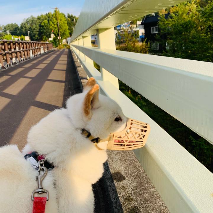 94147245 972a 4768 9f58 ac86b40ef341 1602285081242