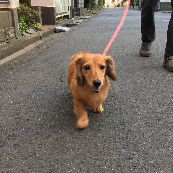 94147454 4b97 49c7 bf0c fa1a2a842974 1574251174590