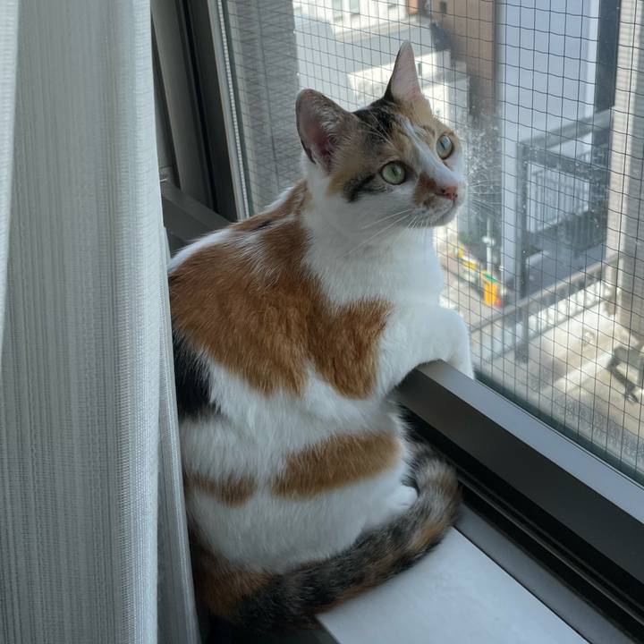 9414872e 0ced 4d74 a614 d991a005c29f 1658879249837