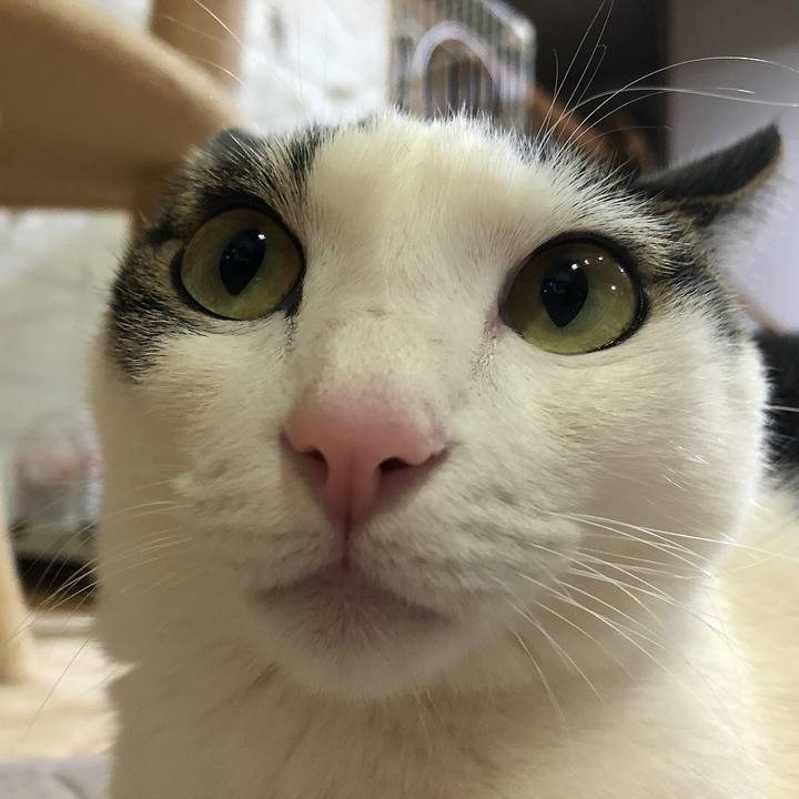 9414a366 b2a7 4cea bb91 186193920d89 1643464142165