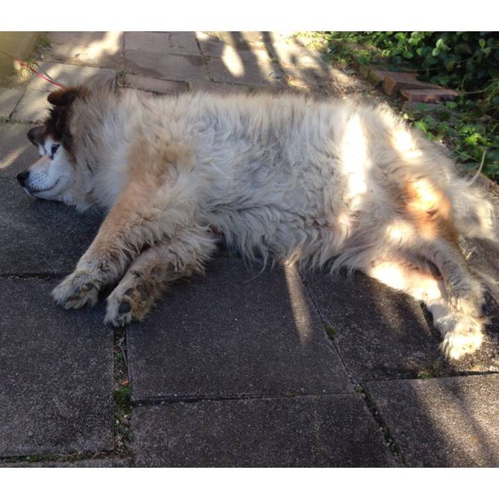 9414bc5b fbe5 4665 ad07 d452180c986e 1569844156519