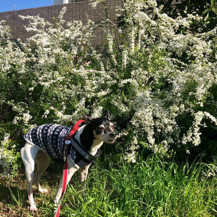 9414c031 3707 48a9 be51 996b7258b376 1553999679824