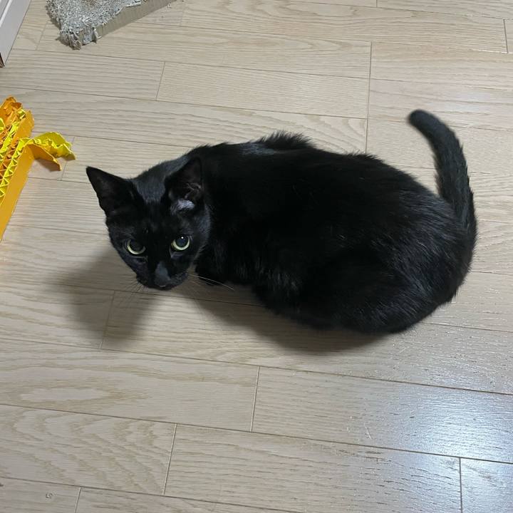 9414d667 8650 4cd8 9f1c 92377321a415 1760963275941