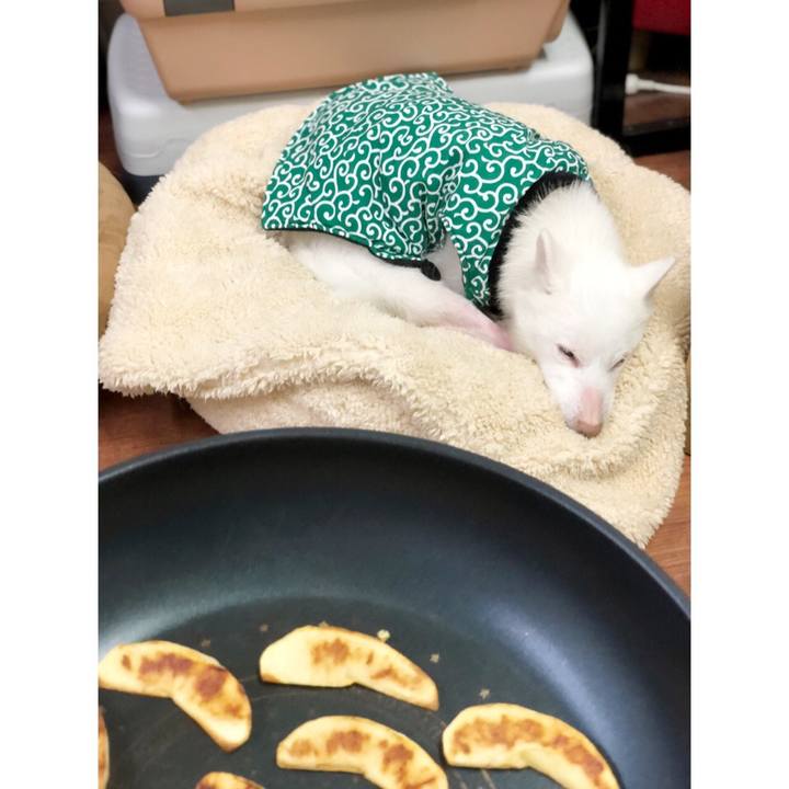 9414df84 7577 447b 8b12 54a6a0da2341 1609489877842