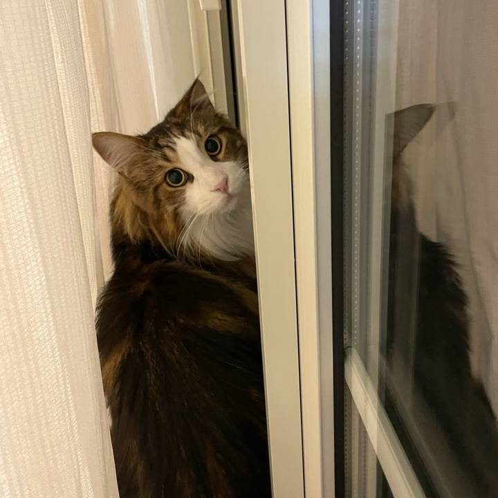 9414e164 6674 400f b1e1 4c9815cb1497 1673467080677