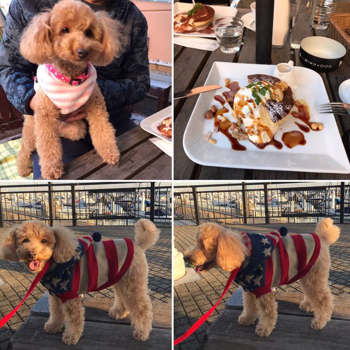 94152a19 d5fd 4366 a1f9 c92500104937 1547459267384