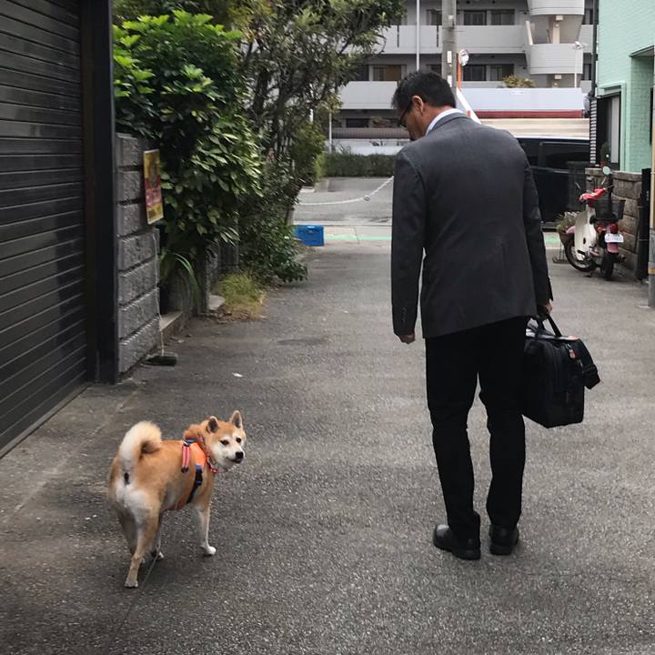 941581c8 d113 4031 9bbb 08b78527cfa6 1540290464943