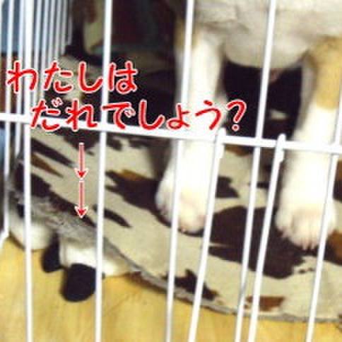 94159cd0 b227 4135 b3ea 3ad7760e1aeb 1676765605214