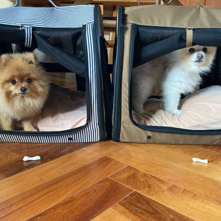 94163432 7698 42ac be77 dae1366d1737 1773183276045