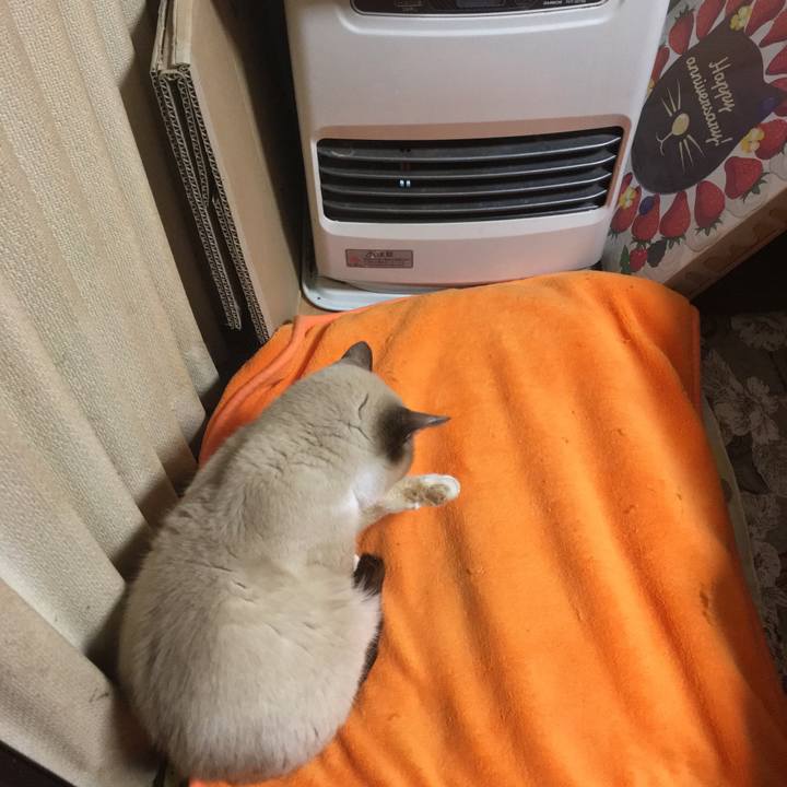 9416a102 7e70 4d90 8ece 45165cbcba3f 1518610456863