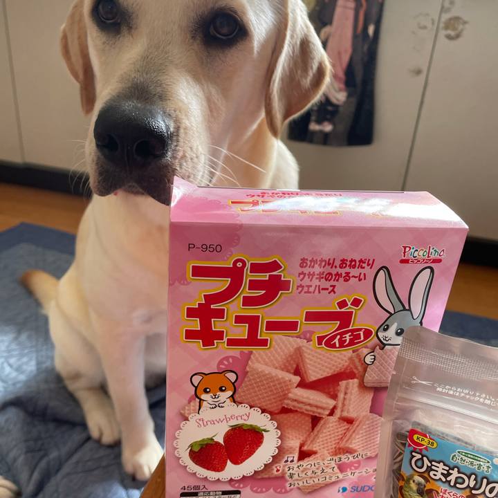 9416adfb b2ad 4f91 860a fe8c7c26ffba 1633061886176