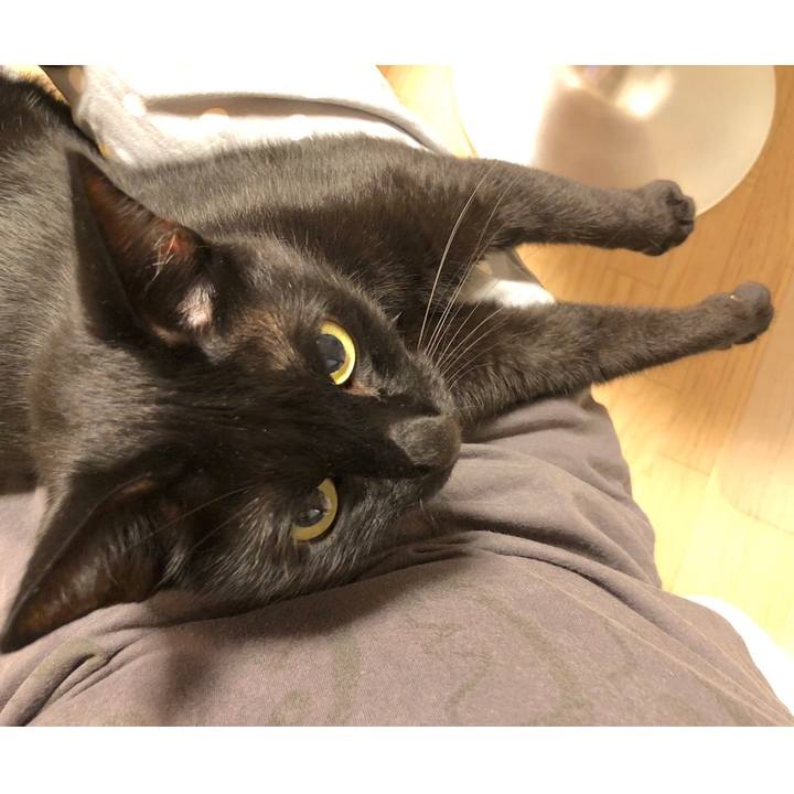 9416c4a6 b106 48b3 b037 fbb77b28376b 1538485683163