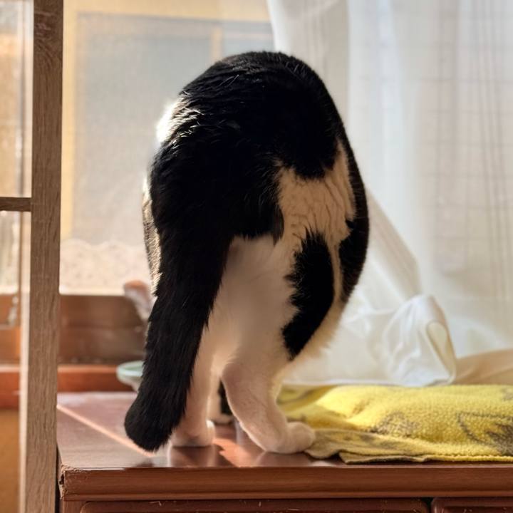 9416d16a 3983 4726 ac03 7e1ac1995065 1738551866226