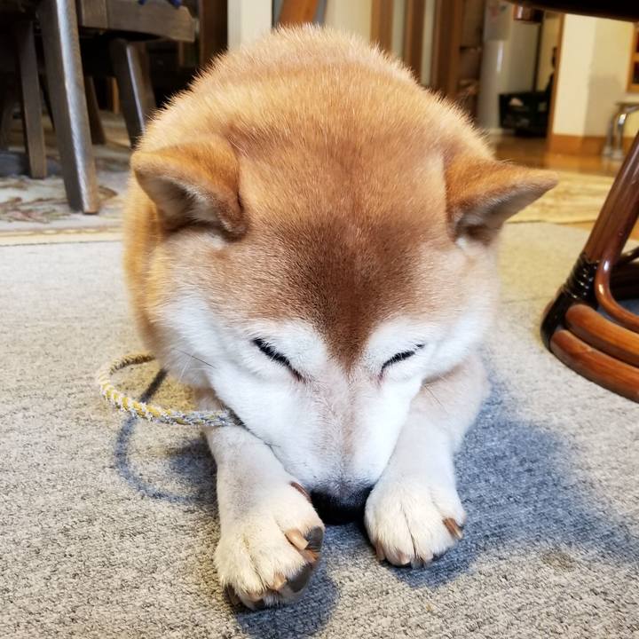 9416d354 72e4 48e5 baa0 2709592d54c4 1575587674489