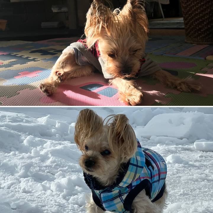 9416d9f7 e539 4cd0 aa4a 712f2bb94c4a 1671966147369