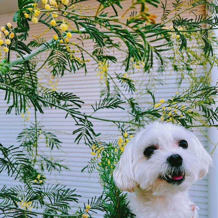 9416f1ac 6048 4f68 b232 fe1d498f9b92 1659324045341