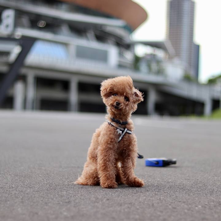 941707bf d447 4105 9f5e 2863a9cbb3f8 1530103492451