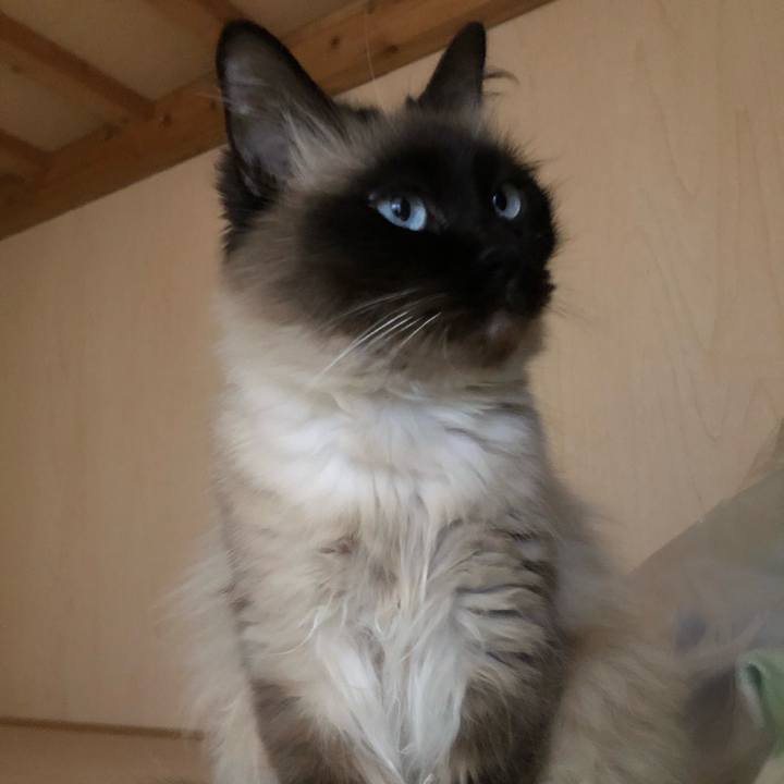 94172e5c 79e6 4c28 993a f326c1f99341 1612526046825