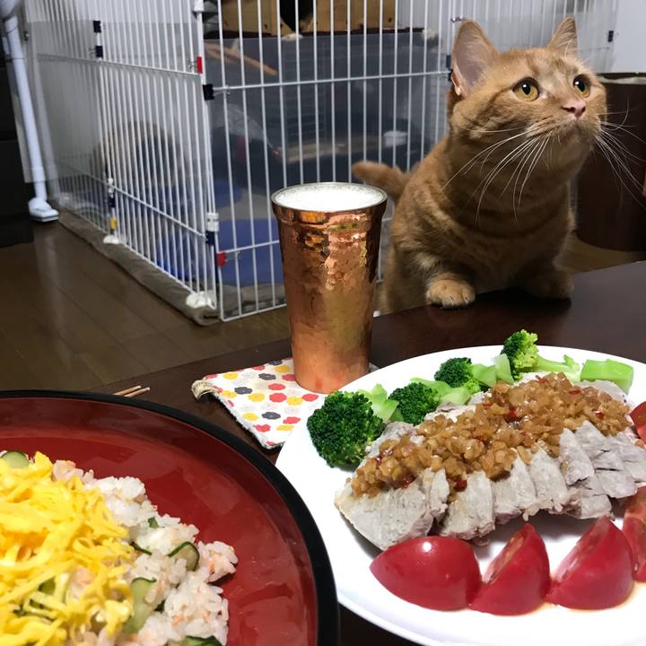 9417336b 5bc1 4866 b6db 6927b81a565d 1528717561436