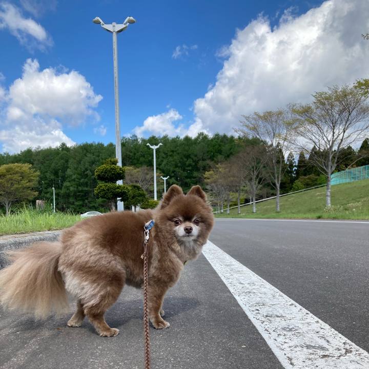 941766fc df26 4d8c b3c7 71f334034424 1651990073702