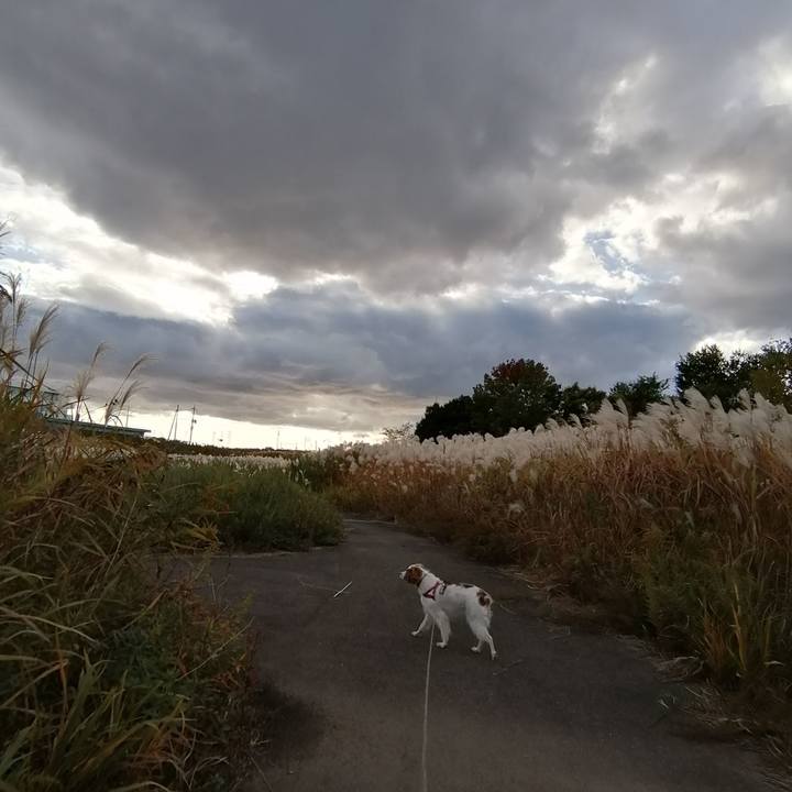 941780be dc36 44fc b010 8798fffd0e73 1574240083678