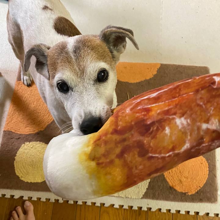 9417969f 386a 47c7 9ba1 de331802966f 1601933754699