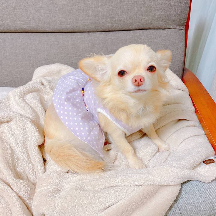 9417a1df 4527 4cdc 8ad0 5fef6af6f9a4 1638442718900