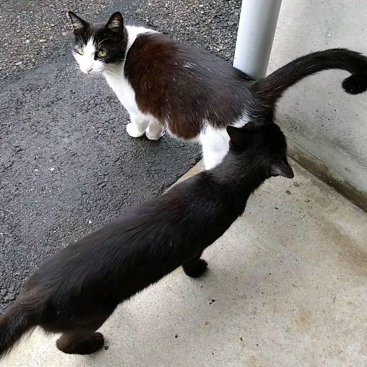 9417b7ab ece0 41df 99c4 0dcfbc498a78 1594164909064