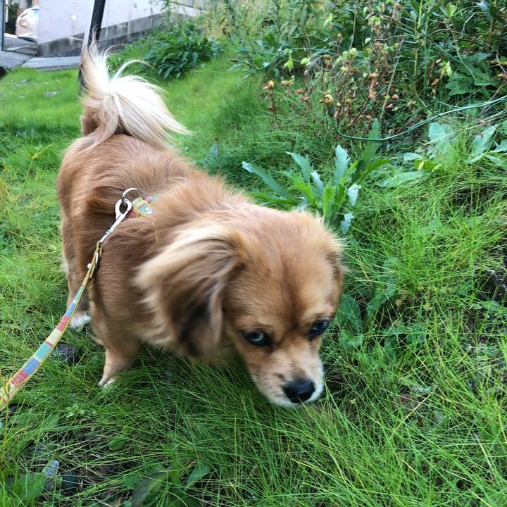 9417d2b0 1522 490e 9b41 1bff4c6d640f 1511050601492