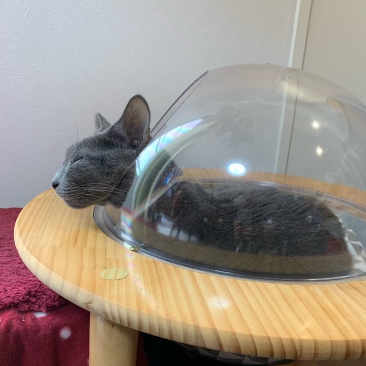 9417dead 972b 4eb0 bf25 39d4ad196499 1673582744633