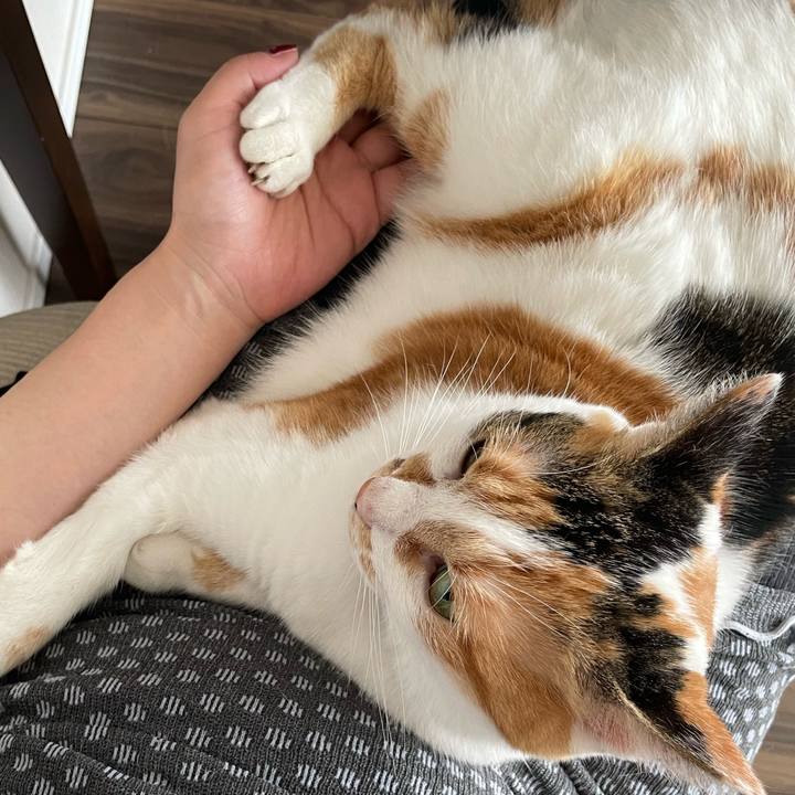 9417e8c0 d3ac 4fdc 8522 d93cf472423b 1726370926905