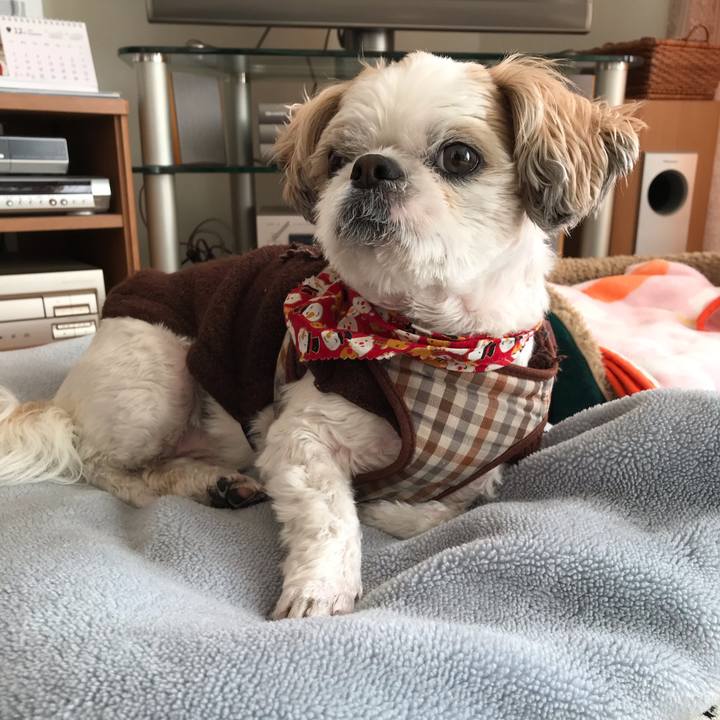 94180c29 d524 4612 819c c5f298ba2037 1544996943730