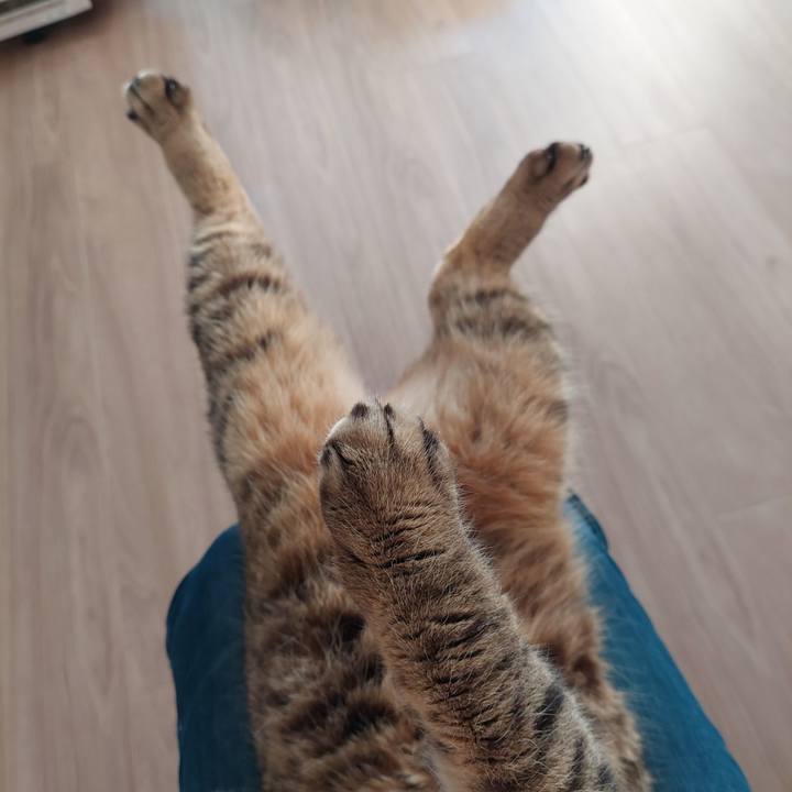 941844b5 aea8 4fe7 9584 78d597198df9 1671404287442