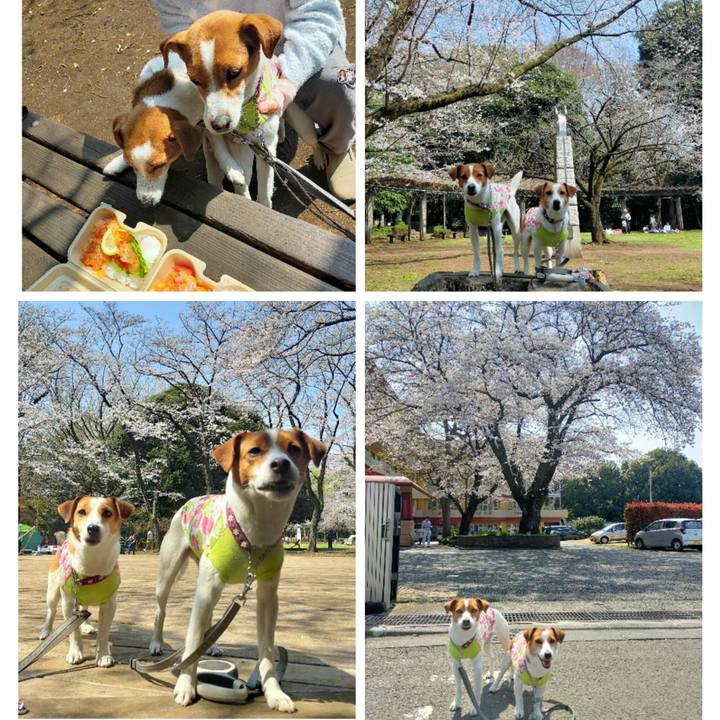 94185eeb 4661 415b a994 b5d80849e32f 1774774466042