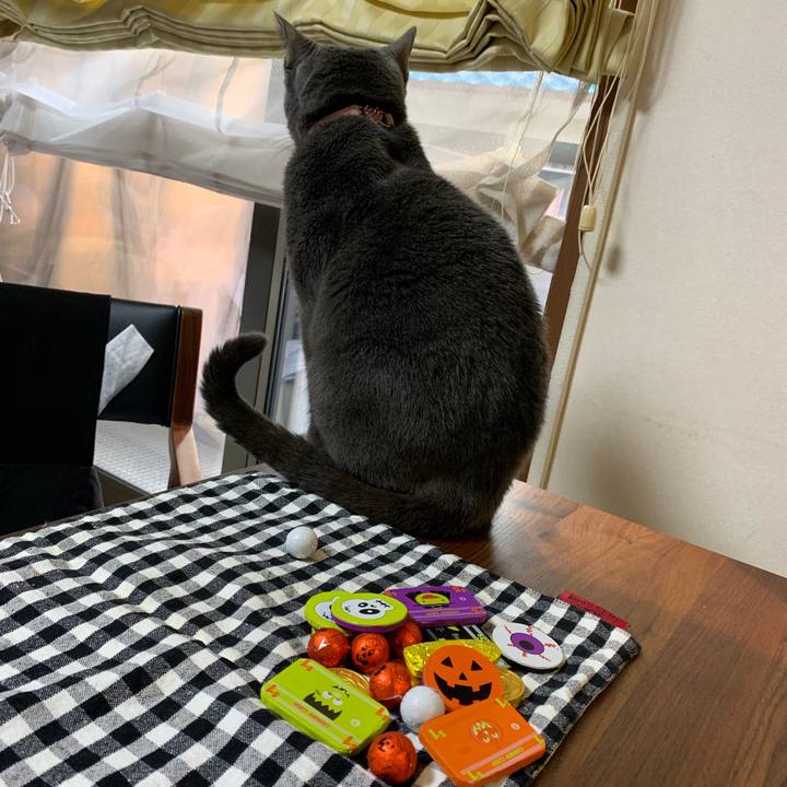 9418ca64 630a 4607 aae5 ccdc6526a1c7 1572476047595