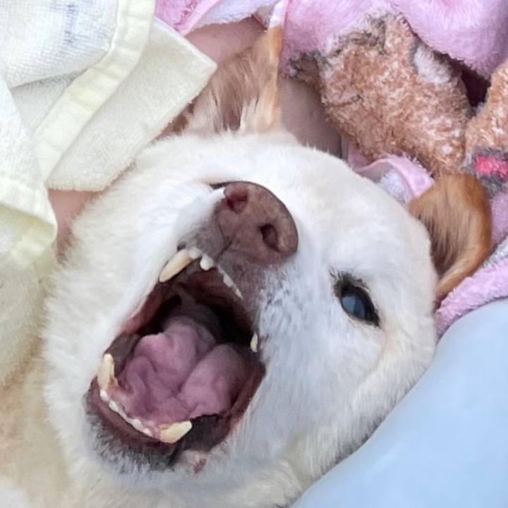 94190bac 816a 4b1f 9635 ccea4215026f 1679816233109