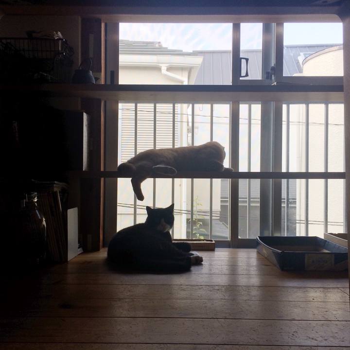 94194229 f96a 4d11 ae05 46486a9dd5bf 1531607110475