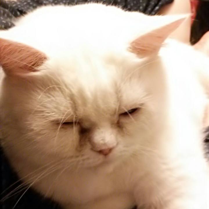 94194a36 c497 4480 986a 11f7bf698e52 1534068037118