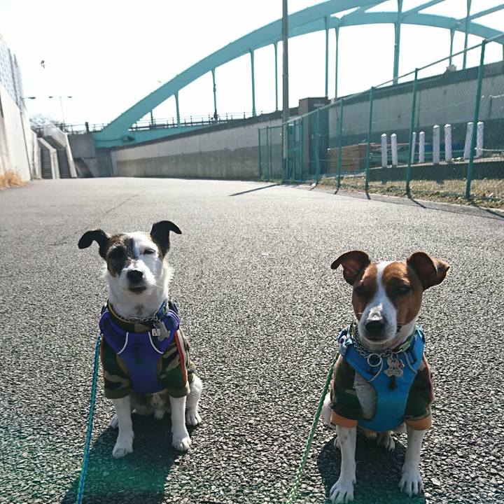 94194f0b 58aa 459d be95 d1ad2c617251 1611284963177