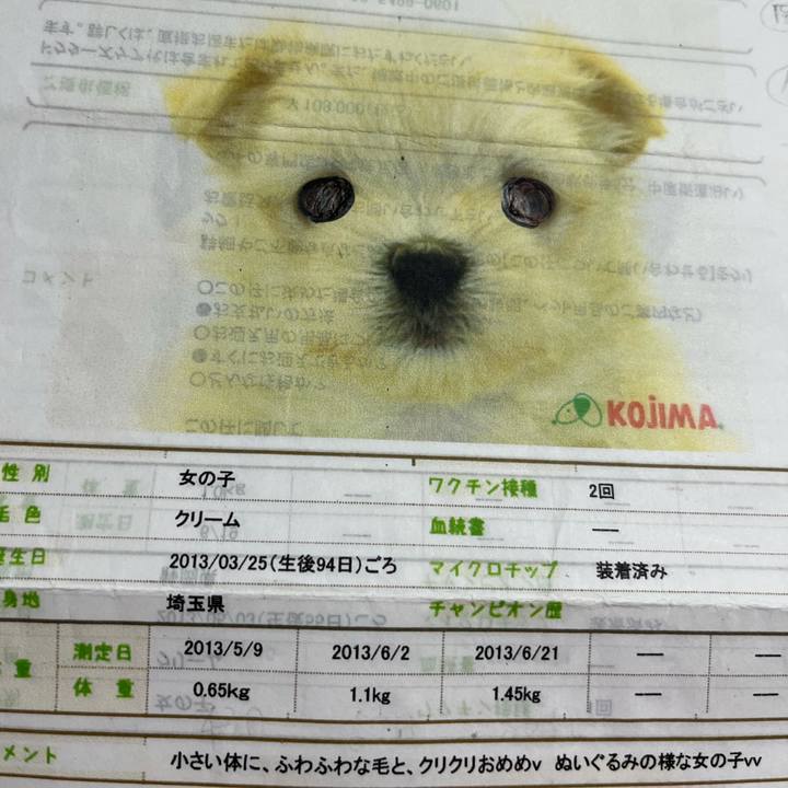 941960b4 3437 45a6 bb0f be6310517991 1654949173480