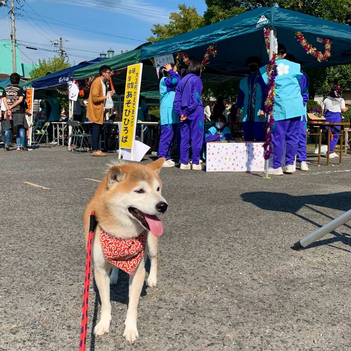 94199b12 97cb 4120 8cd8 87448961d43d 1666514537430