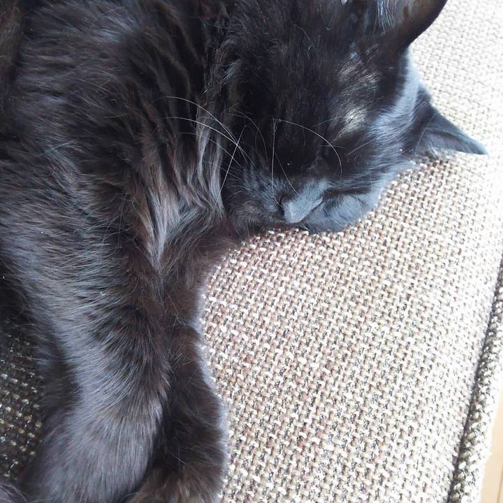 9419b8d7 930b 4dce bd61 7ffeff0b77f9 1520572912943