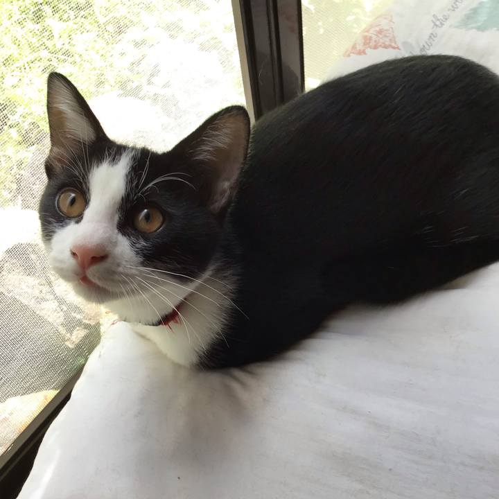 9419c2a2 c97b 46d4 a42e e0122523f3d6 1630987161258