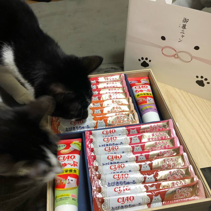 9419e28d 5c19 4f87 89ed f600a4487310 1544264449539