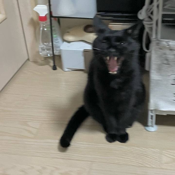 9419e33d de45 456e b0b9 e62939d190f6 1705751830221