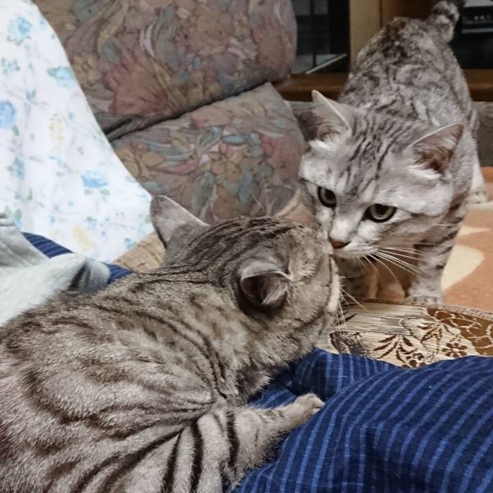 9419e86b ef77 4e23 a009 48f445d08881 1550410612346