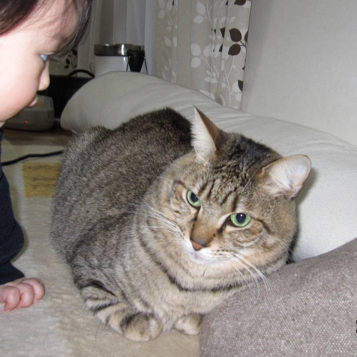 941a1257 0137 4a48 9bfa b1f1d1342f6f 1593308662764